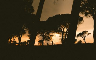 A wedding at Le Clos des Roses, in Fréjus, Provence